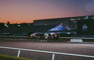 blog-grid-1-410x308
