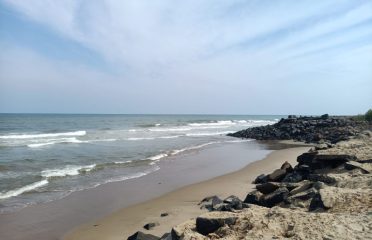 blog-grid-1-410x308